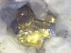 ppite d'or dans specimen de quartz