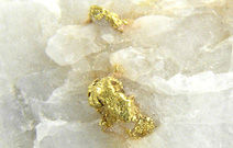 ppite d'or dans quartz blanc