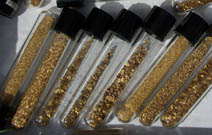 tubes avec paillettes d'or de diffrentes rivires aurifres